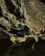 ������ �ԥ�ˡ��� KEEN PYRENEES MOUNTAIN RESEARCH �ޥ���ƥ�ꥵ���� �ޥ���ƥ�֡��� ��� �֡��� ������ �����ȥɥ����塼�� �����������ץ롼�� �ȥ�å��󥰥��塼�� �ɿ� �����ȥɥ� �� ������