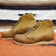 RED WING 8151 ��US9.0/27.0cm�� ��7873�� �����������ȥ�å��ʡ� ��åɡ������� ��ʪ���� �ե����ȥ꡼������� �饦��ɥȥ�