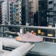�ӥ륱�󥷥�ȥå� �ȥ��� BIRKENSTOCK TOKIO 1028216 �ե����ǥ��å� �ѡ��ץ� �������� �쥮��顼 �����å�������� ��� ������� �����å� ��ǥ����� ����åݥ� �����ȥɥ� �롼�ॷ�塼�� �ɥ����� ������