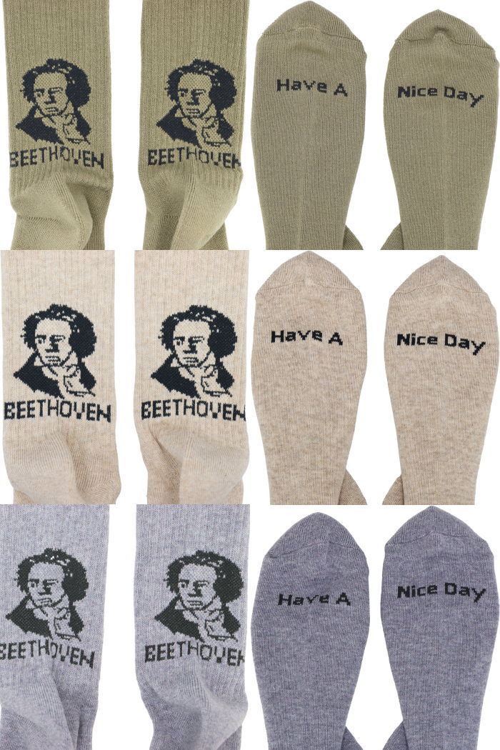 �����������å��� �١��ȡ������� ROSTER SOX BEETHVEN RS-481 ���å��� ���� ��� ������ �ϥ����å��� ���롼���å��� ������ �������� ���ե� �ץ쥼��� ��������å��� ��󥺥��å���