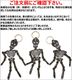 ROLLING DUB TRIO HONE-HONE ������󥰥��֥ȥꥪ �ۥͥۥ� HORSEBUTT BROWN �ۡ����Хåȥ֥饦�� �������� ���㡼�� �����ۥ���� ���ե� �ץ쥼��� ������� �쥶�� �ܳ� ��� ��ǥ����� �˽����� �ϥ�ɥᥤ�� ������� ������