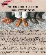 ��åɥ����� �����ƥ��󥰥֡��� RED WING 8827 ��Hawthorne Muleskinner & Teak Featherstone�� OUTING BOOT