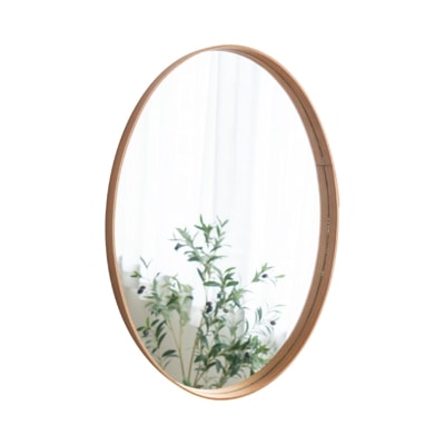 シェーカーラウンドミラー L 鏡