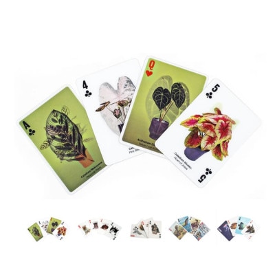 KIKKERLAND / キッカーランド（アメリカ）