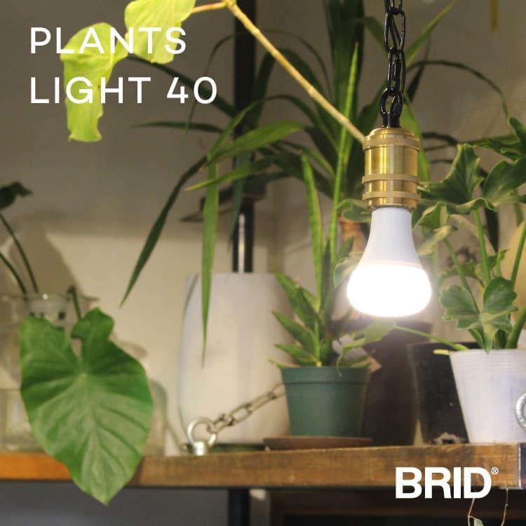植物育成電球 PLANTS LIGHT 40 | 家具・インテリア・生活雑貨の