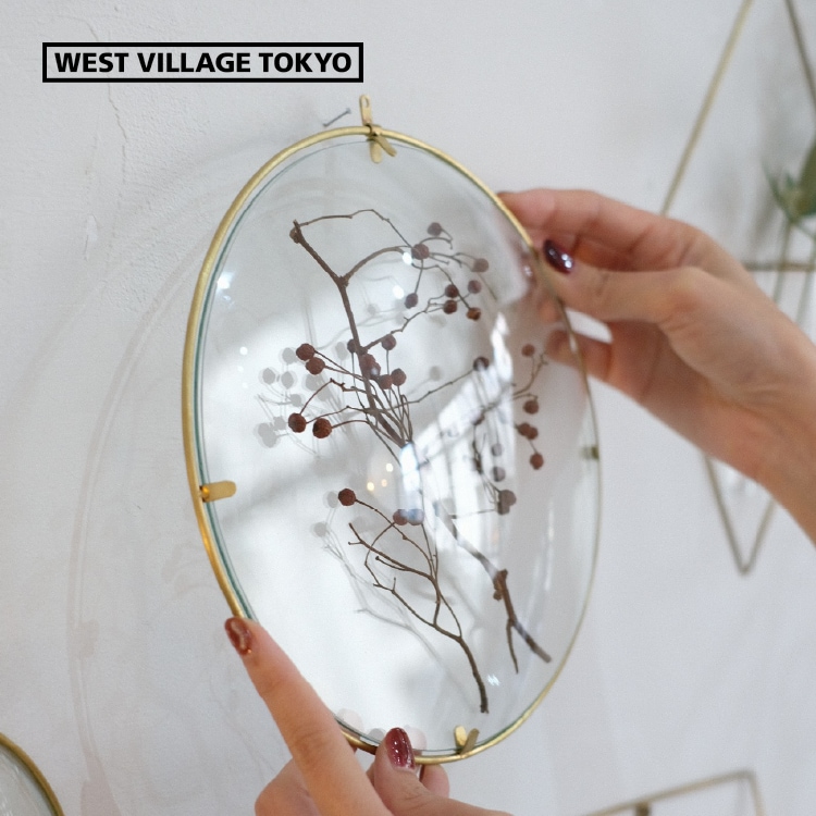 ディスプレイフレーム PIKE Glass Dome Frame ガラスドームフレーム