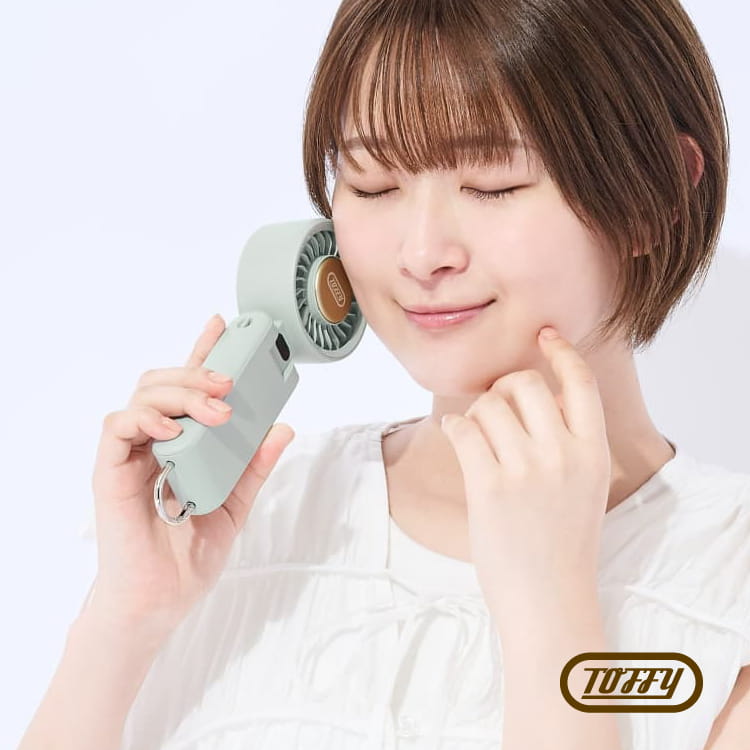 冷却プレート付きハンディファン Toffy ひんやりパワフルファン HFN9
