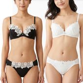���硼���åȡߥ��ߥ���졼���Υ�磻�䡼�֥饸�㡼�����硼��