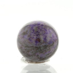 饤 ӡ 12mm No.17  [ ʪʪ ]  