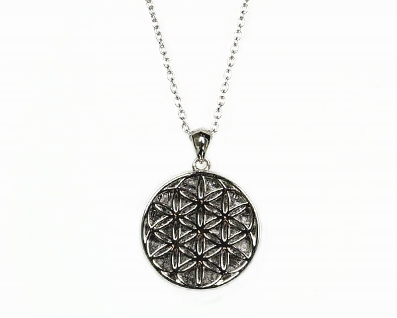 ギベオン隕石 フラワーオブライフ ペンダントトップ Sサイズ （SV925