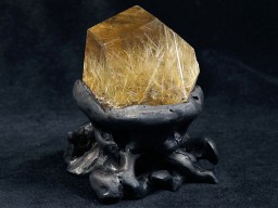 ������������ ������ʪ����������դ� No.13