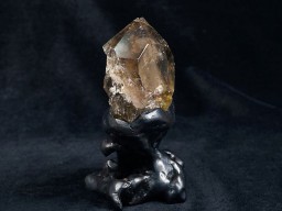 ������������ ������ʪ����������դ� No.14