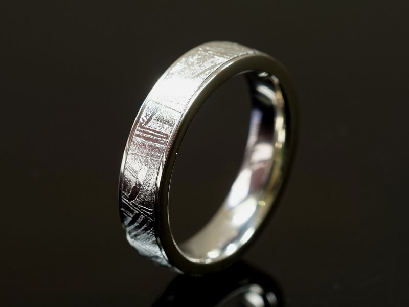 ギベオン隕石 リング・指輪 （ギベオン＋チタン）Type2｜最高級