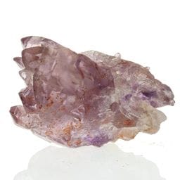 ���᥸���ȥ��쥹����� ���� No.10  [ ������ʪ������ʪ ]  