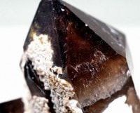 黒水晶 （モリオン） 原石（木製台座付き）　魔除け・浄化用 No.5|原石・その他|黒水晶（モリオン・カンゴーム）