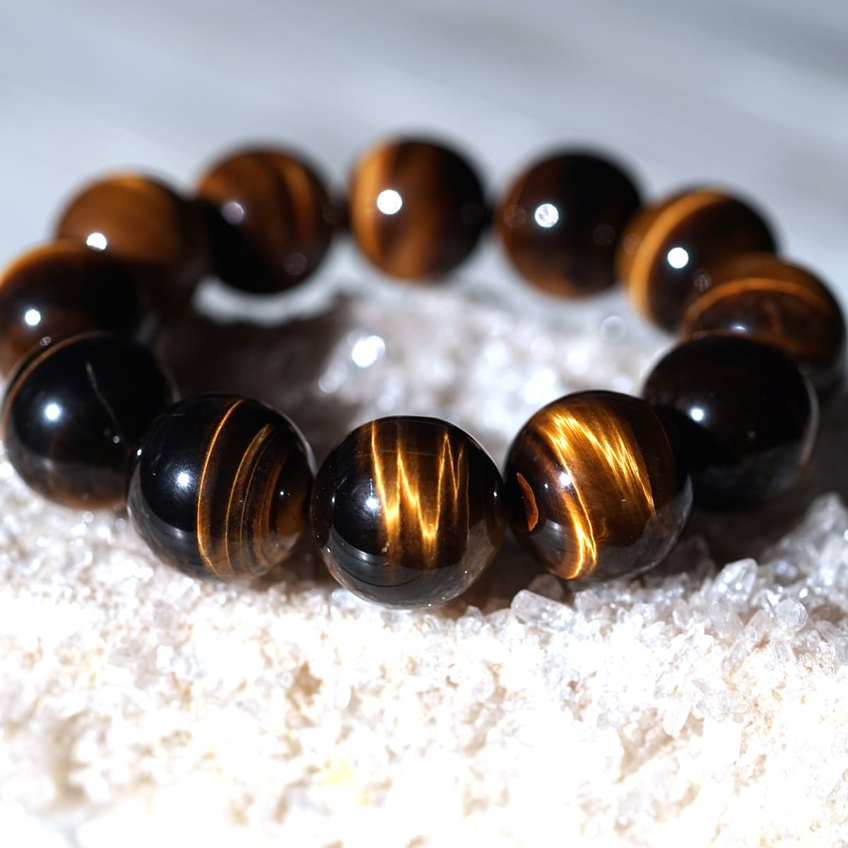 �ǹ���5A�� ������������ �֥쥹��å�20mm�� No.2  [ ������ʪ������ʪ ]  