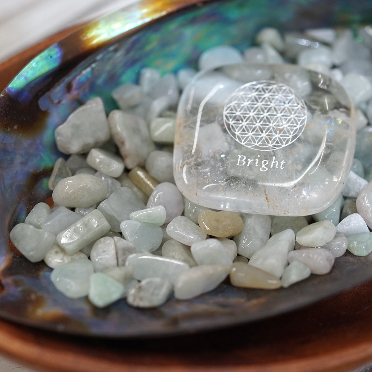 �ǿ�ʥҥ����� ��������å� Type.1����100g ������