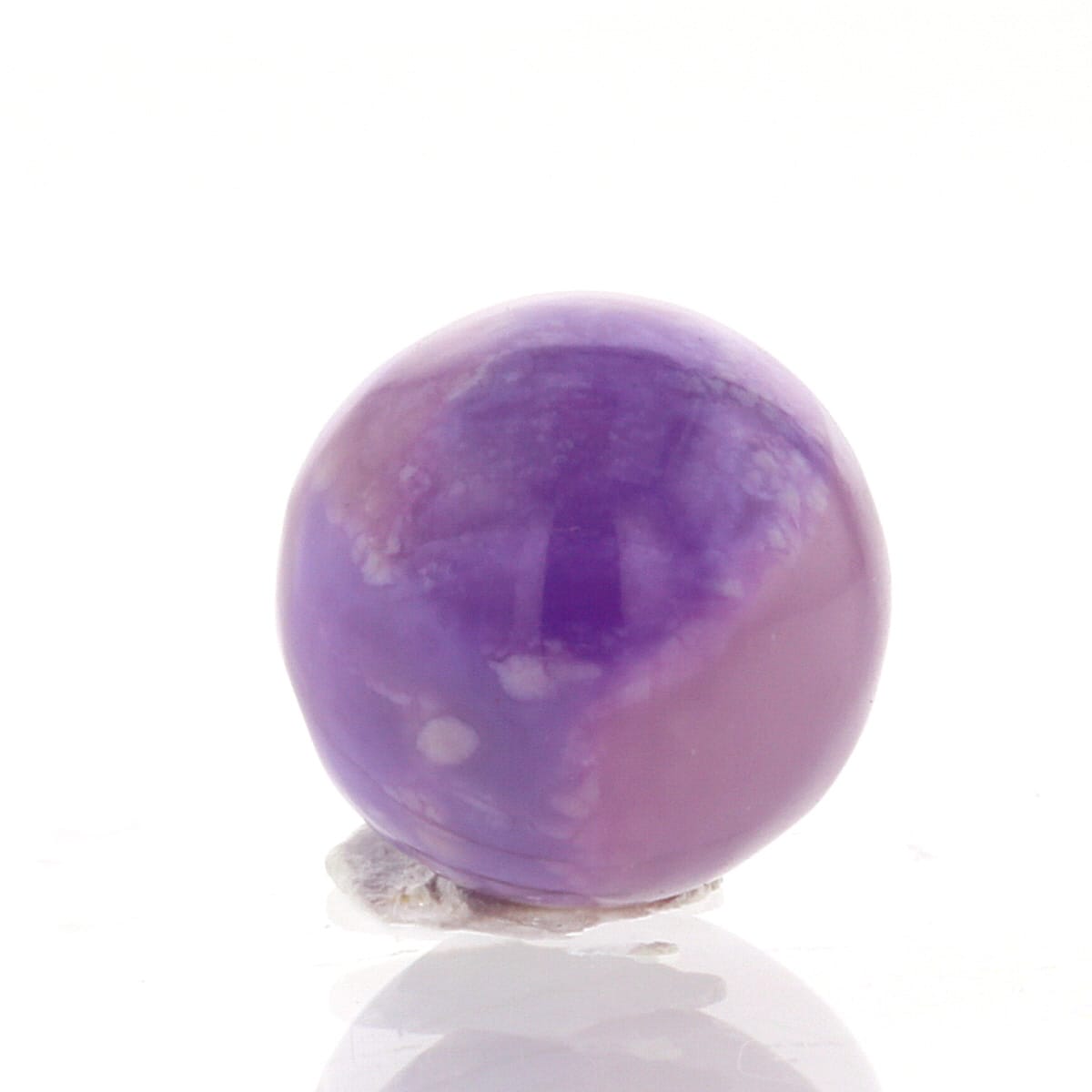 �ǹ��ڥץ�ߥ���� �ԥ󥯥����饤�� �ӡ��� 12mm�� No.6  [ ������ʪ������ʪ ]  