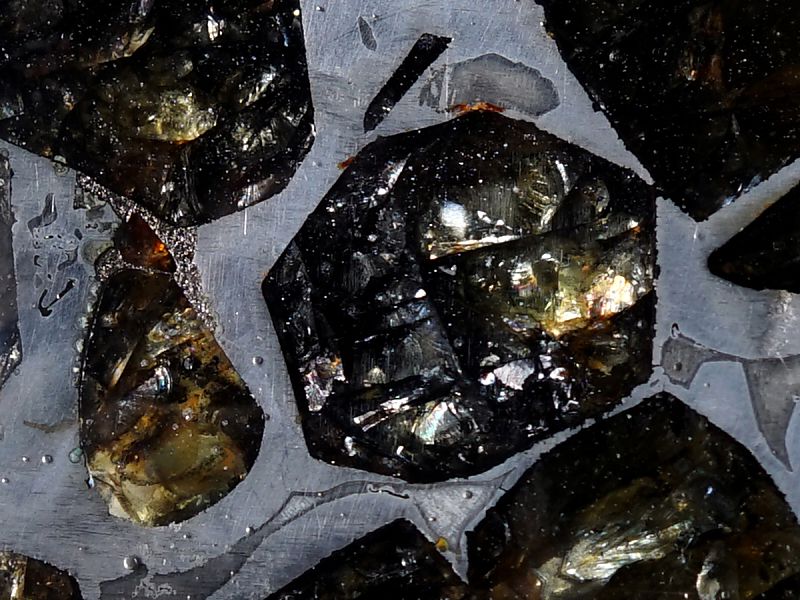 ѥ饵 ڥȥȥå 18⥤ɡ No.21 ʴ̽ա ڥץߥ