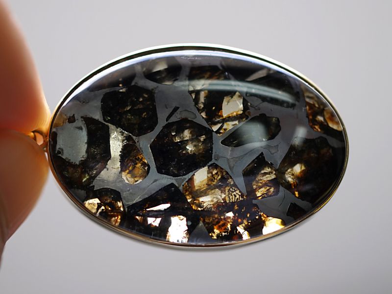 ѥ饵 ڥȥȥå 18⥤ɡ No.21 ʴ̽ա ڥץߥ