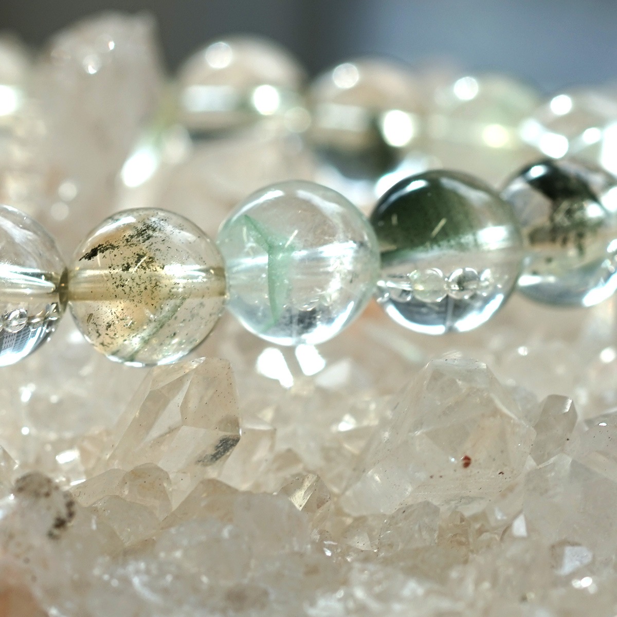 ���꡼��ե���ȥ९������ [�ԥ�ߥå�]�֥쥹��å� 12mm�� No.7  [ ������ʪ������ʪ ]  