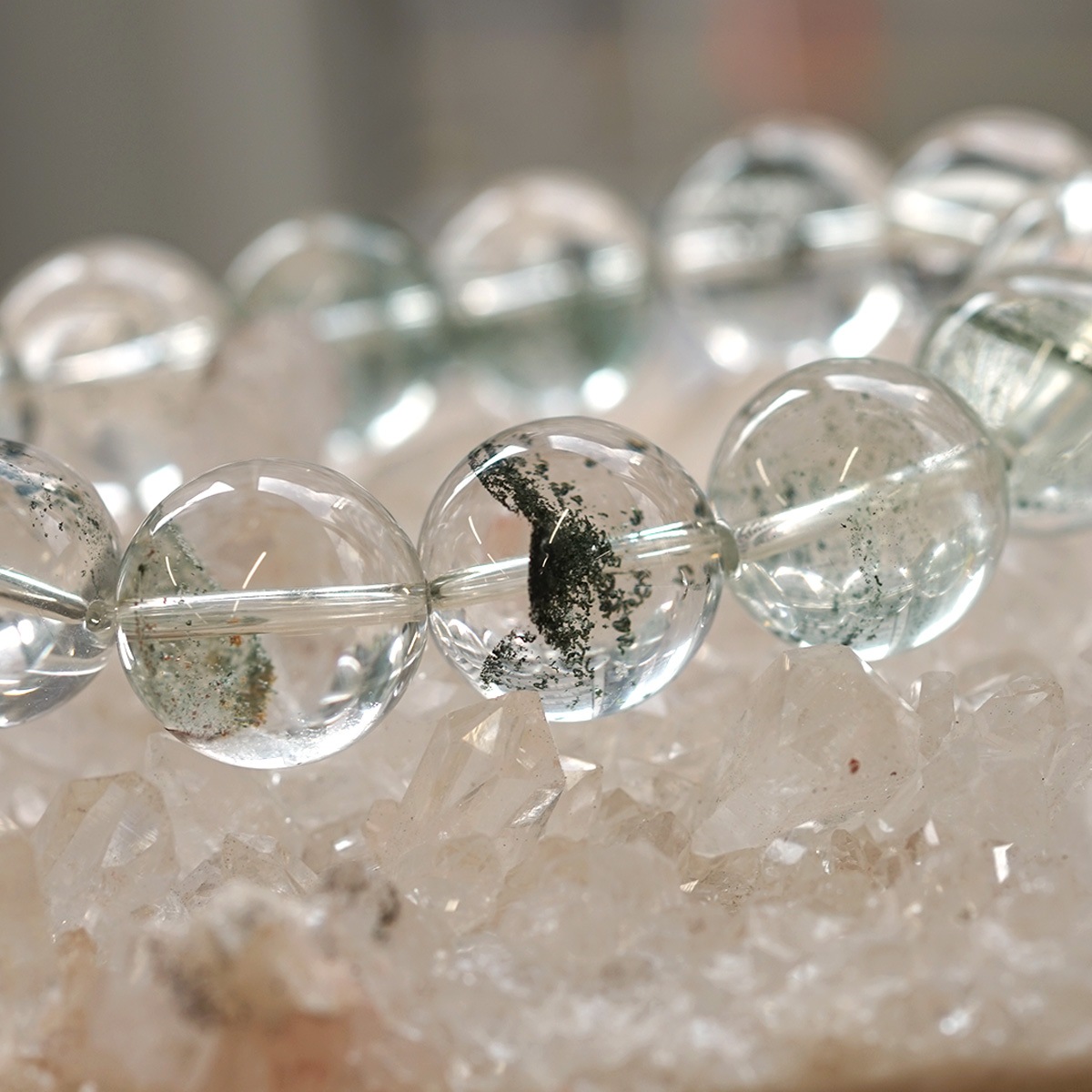 �ǹ��ڥץ�ߥ���� ���꡼��ե���ȥ९������ [�ԥ�ߥå�]�֥쥹��å� 18mm�� No.23  [ ������ʪ������ʪ ]  