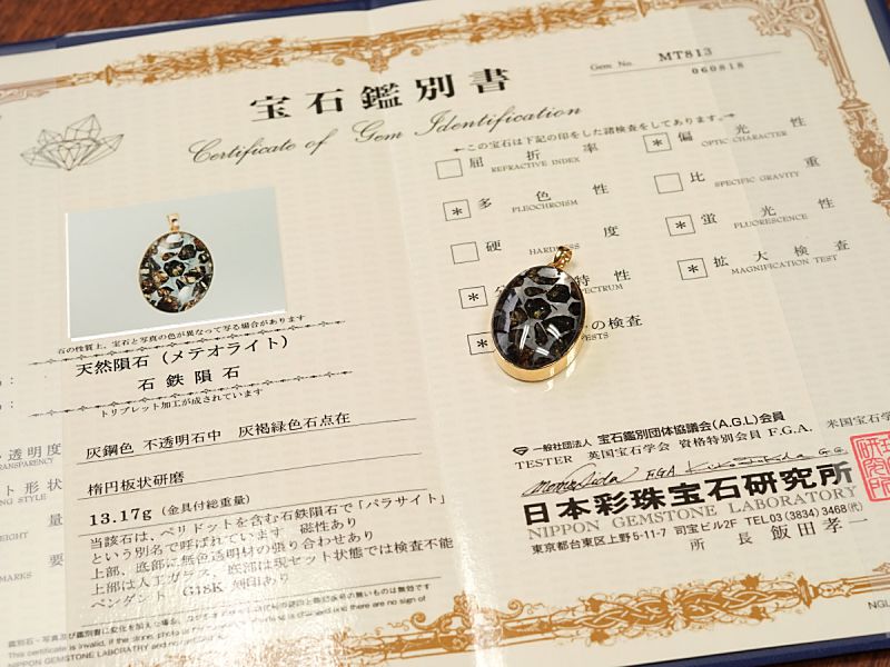 ѥ饵 ڥȥȥå 18⥤ɡ No.21 ʴ̽ա ڥץߥ