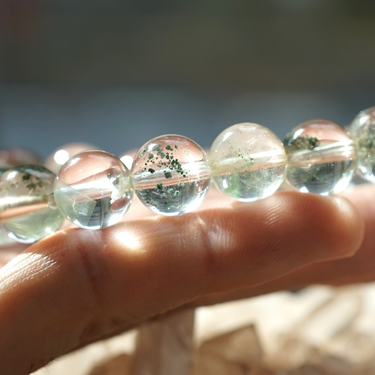 ���꡼��ե���ȥ९������ [�ԥ�ߥå�]�֥쥹��å� 12mm�� No.7  [ ������ʪ������ʪ ]  