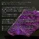 �ǹ��ڥץ�ߥ���� �ԥ󥯥����饤�� �ӡ��� 12mm�� No.6  [ ������ʪ������ʪ ]  
