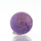 �ǹ��ڥץ�ߥ���� �ԥ󥯥����饤�� �ӡ��� 12mm�� No.6  [ ������ʪ������ʪ ]  
