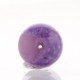 �ǹ��ڥץ�ߥ���� �ԥ󥯥����饤�� �ӡ��� 12mm�� No.6  [ ������ʪ������ʪ ]  