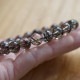 �ǹ��ڥץ�ߥ���� �֥�å������ �������������˥֥쥹��å� 10mm�� No.23  [ ������ʪ������ʪ ]  