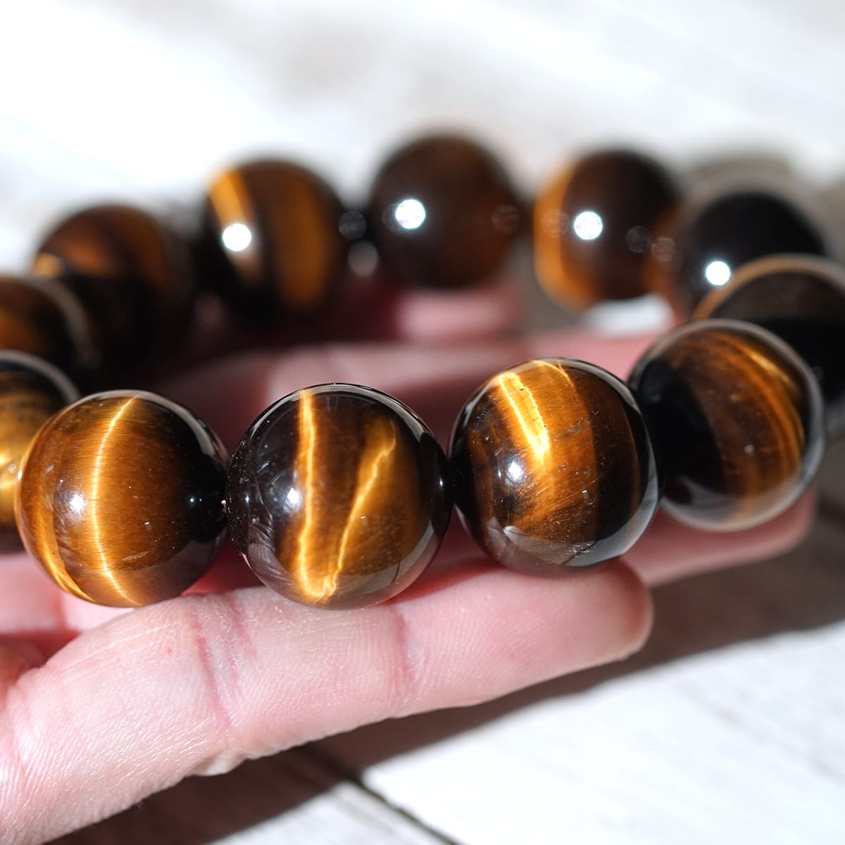 �ǹ���5A�� ������������ �֥쥹��å�20mm�� No.3  [ ������ʪ������ʪ ]  