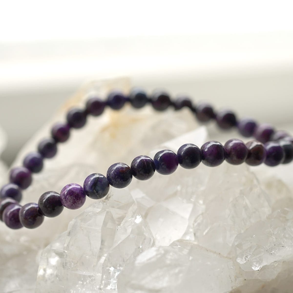 �ǹ��ڥץ�ߥ���� �����饤�� �֥쥹��å� 6.5mm�� No.2  [ ������ʪ������ʪ ]  