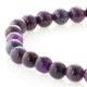 �ǹ��ڥץ�ߥ���� �����饤�� �֥쥹��å� 6.5mm�� No.2  [ ������ʪ������ʪ ]  