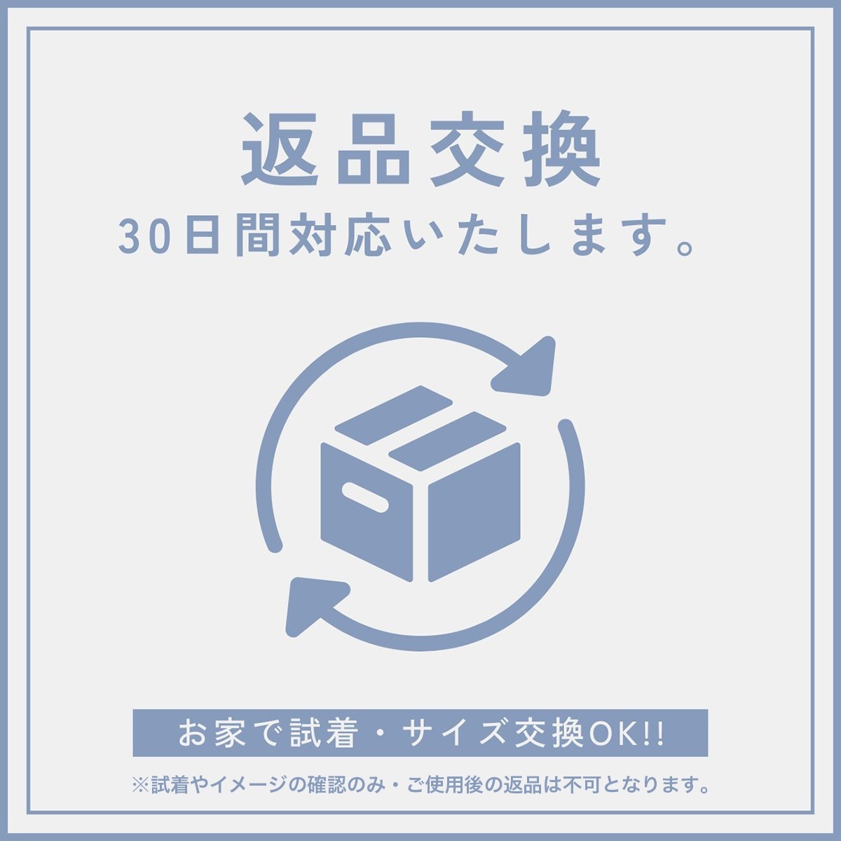 EVOLUTION�ʿʲ��ˡ�- SILVER -