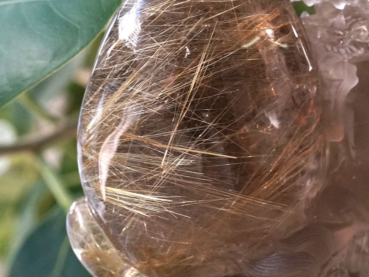 ������������ ζĦ��ʪ����������դ��� No.1