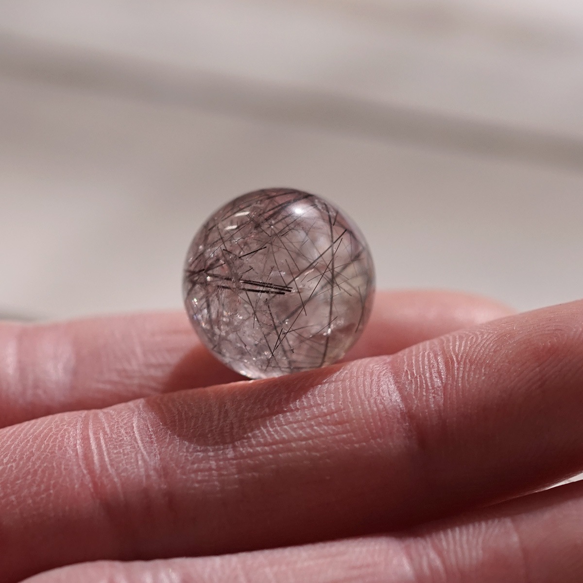 �֥�å������ �ʥȥ�ޥ��˴ݶ̡����ե�����������դ��� 18mm�� No.1  [ ������ʪ������ʪ ]  