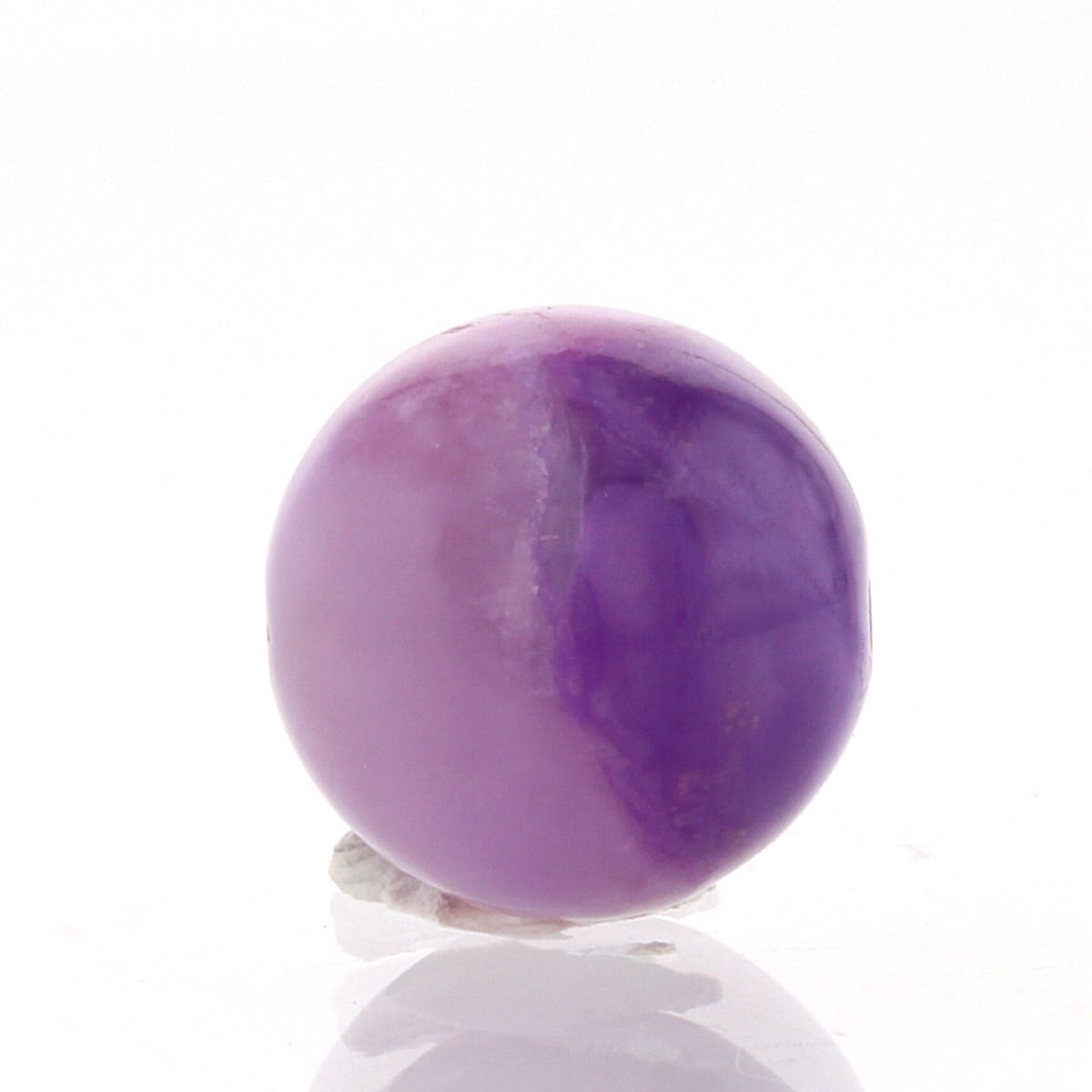 �ǹ��ڥץ�ߥ���� �ԥ󥯥����饤�� �ӡ��� 12mm�� No.3  [ ������ʪ������ʪ ]  