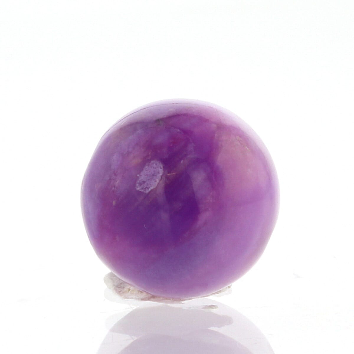 �ǹ��ڥץ�ߥ���� �ԥ󥯥����饤�� �ӡ��� 12mm�� No.3  [ ������ʪ������ʪ ]  