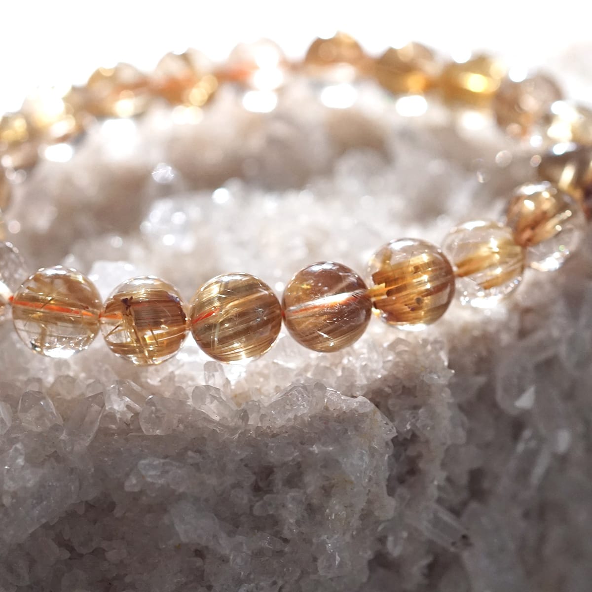 �ǹ��ڥץ�ߥ���� ������������ �֥쥹��å� 10mm�� No.84  [ ������ʪ������ʪ ]  