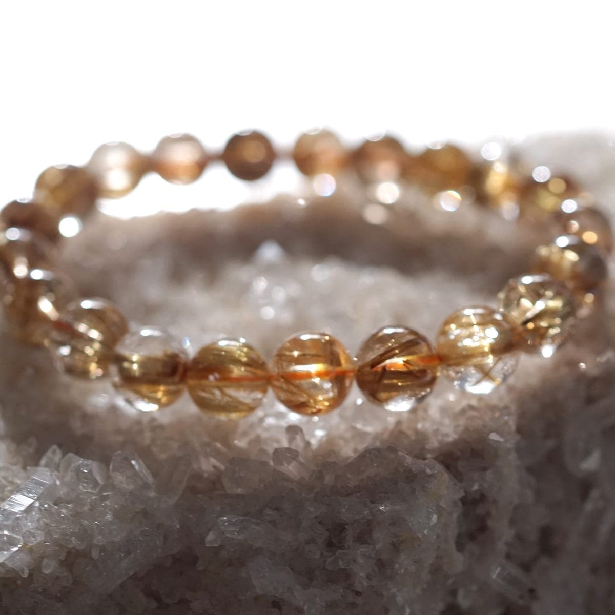 �ǹ��ڥץ�ߥ���� ������������ �֥쥹��å� 10mm�� No.84  [ ������ʪ������ʪ ]  