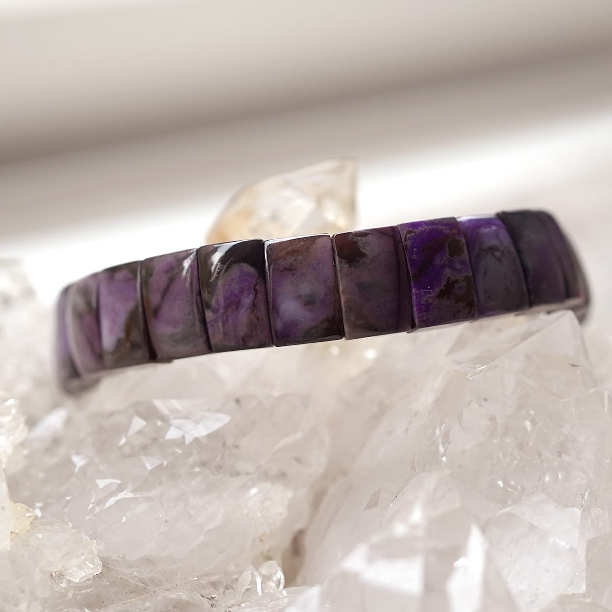 �ǹ��ڥץ�ߥ���� �����饤�� �Х󥰥�֥쥹��å� No.8  [ ������ʪ������ʪ ]  