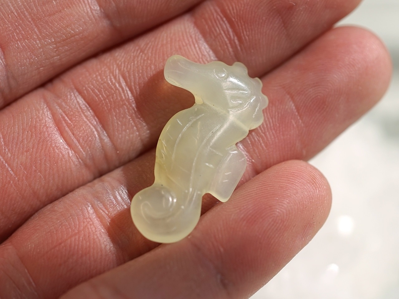 �ǿ�ʤҤ�����  ���ĥΥ��ȥ���������� No.1 �ݡ����դ� �ǹ��5A 