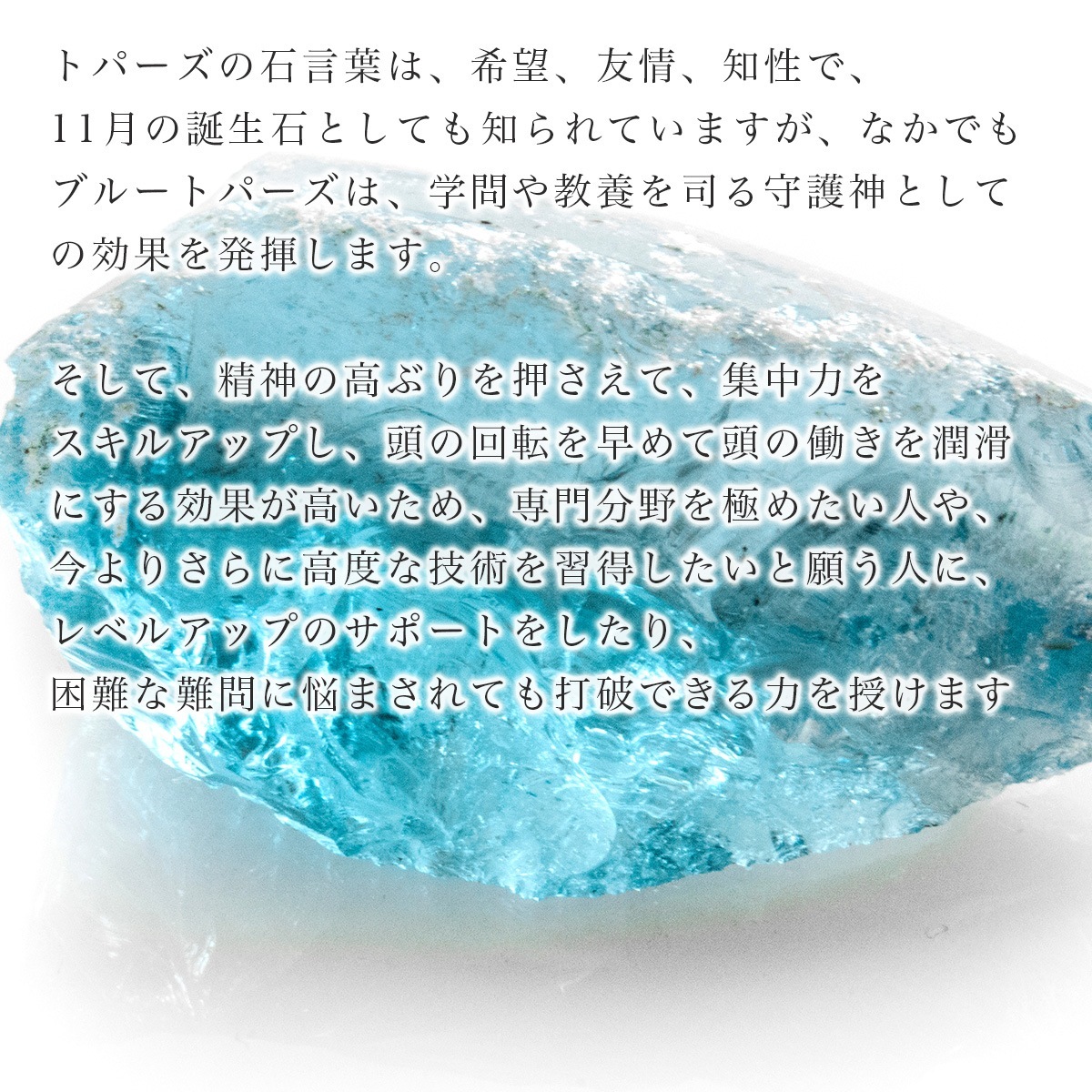 ǹڥץߥ ֥롼ȥѡ ֥쥹å 10mm No.11  [ ʪʪ ]  