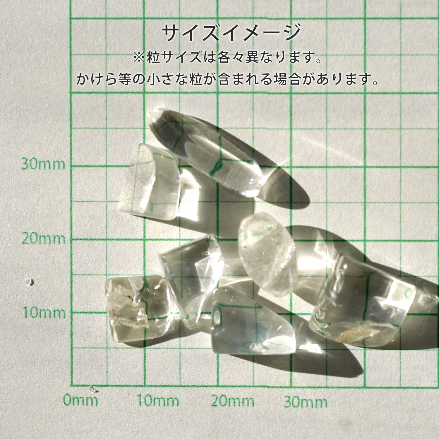 ŷ���ܿ徽 ��������å� (L�������ˡ���100g ������