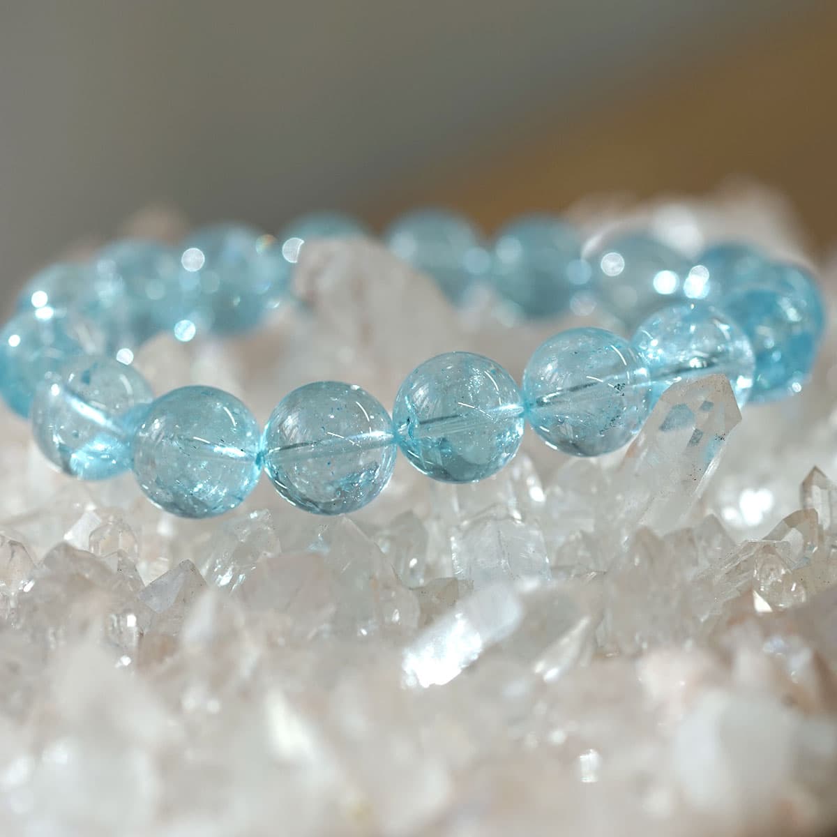 �ǹ��ڥץ�ߥ���� �֥롼�ȥѡ��� �֥쥹��å� 12mm�� No.14  [ ������ʪ������ʪ ]  