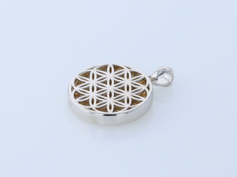 ٥ ե֥饤 ڥȥȥå S  SV925