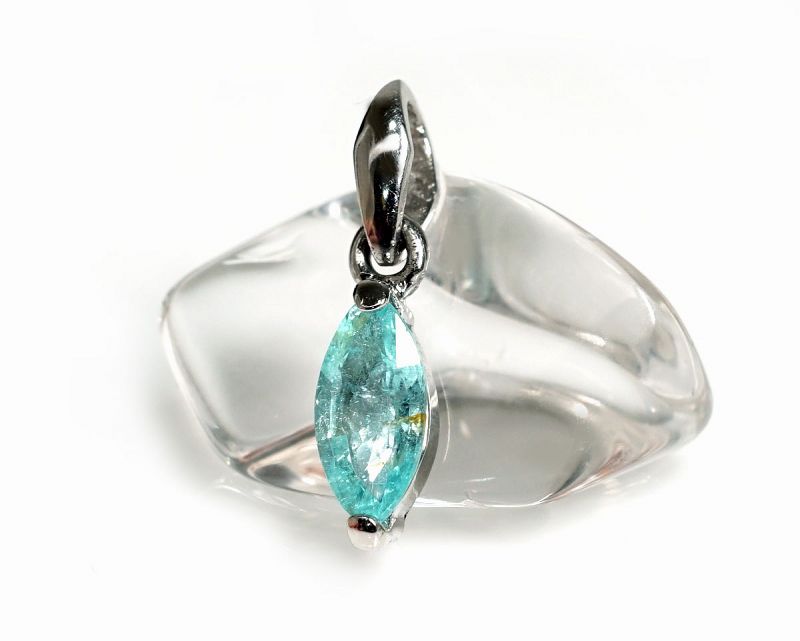 �ѥ饤�Хȥ�ޥ�� �ڥ����ȥȥå� �ʥץ����900�� No.2 �ʴ��̽��ա� �ڥץ�ߥ����