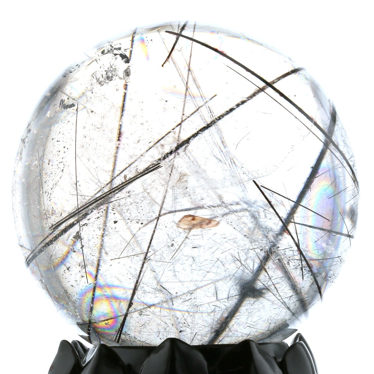 �֥�å������ �ʥȥ�ޥ��˴ݶ̡����ե�����������դ��� 75mm�� No.20  [ ������ʪ������ʪ ]  